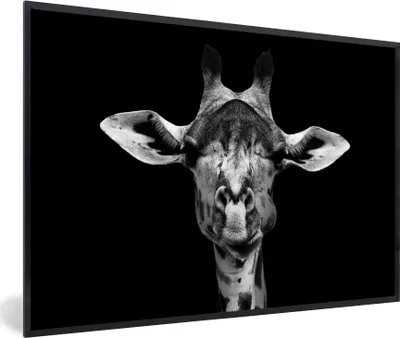 Produktbild von MuchoWow® Gerahmtes Poster Giraffe - Tiere - Porträt - Schwarz 30x20 cm - Poster mit Schwarzem Bilderrahmen Wandposter Rahmen Foto Bilder - Kunstdruck - Bild-Poster