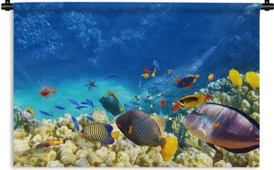 Produktbild von MuchoWow® Wandteppich Wandbehang Meer - Fische - Korallen - Unterwasserwelt 60x40 cm Tapisserie Dekoration Wandtuch - Wanddekorationen
