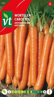 Produktbild von Möhren Amsterdam Samen - Ca. 6 gr | VT_641