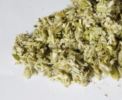 Produktbild von Griechischer Bergtee - Sideritis scardica - Griechisches Eisenkraut - Biotee - 100 g