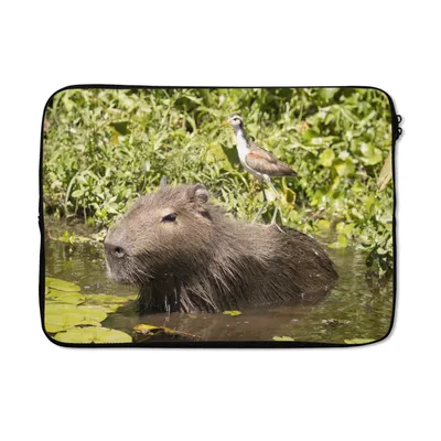 Produktbild von MuchoWow® Laptop Hülle 14 ZollEin Wasserschwein sitzt im Wasser mit einem Vogel darauf Laptoptasche - Laptoptasche - Stoßsicher - Schutzhaube