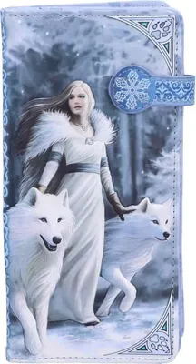 Obrázok produktu pre Anne Stokes Geldbeutel Winter Guardians 18 cm