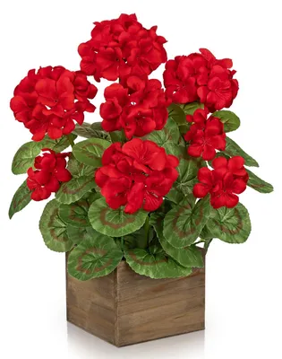 Künstliche rote Geranie in Holztopf 40 cm, Seidenblume