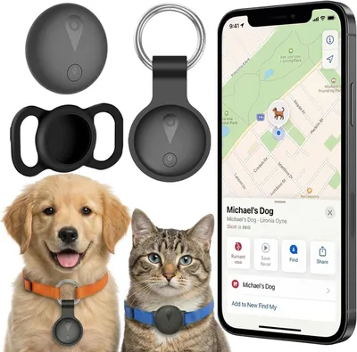 Image de Localisateur GPS pour chats et chiens - sans abonnement - localisation en temps réel via application - étanche - noir