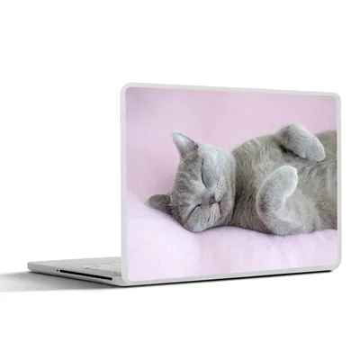 Produktbild von MuchoWow® Laptop Aufkleber Sticker Cover Graue Katze schläft auf rosa Teppich 36.5x27.5 cm - Laptop-Sticker