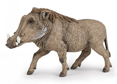 Image de Figurine de jeu Papo Phacochère