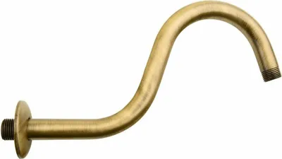 Immagine prodotto di Sapho Docce - Braccio doccia, 300 mm, bronzo BR556