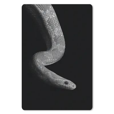Produktbild von MuchoWow® Mauspad Mousepad Tiere - Schlange - Schwarz - Weiß - Porträt 18x27 cm - Mousepads - Maus Mat - Pad - Mausunterlage