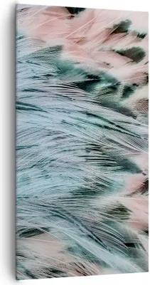 Produktbild von Bild auf Leinwand - Leinwandbild - Federn Federn Vogel - 65x120cm - Wand Bild - Wanddeko - Leinwanddruck - Bilder - Kunstdruck - Wanddekoration - Leinwand bilder - Wandkunst - PA65x120-3742