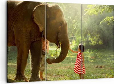 Produktbild von Bild auf Leinwand - Leinwandbild - Elefant Tier - 105x70cm - Wand Bild - Wanddeko - Wandbilder - Leinwanddruck - Bilder - Kunstdruck - Wanddekoration - Leinwand bilder - Wandkunst - CE105x70-3884