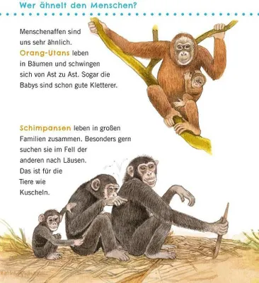 Produktbild von Unkaputtbar: Erstes Wissen: Große Tiere