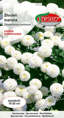 Produktbild von Samen von Marshmallow Weiß 0.5g - Torseed