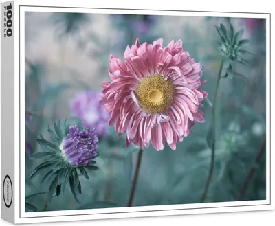 Produktbild von raxxa Premium-Puzzle "Herbstboten", 1000 Teile