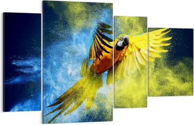 Produktbild von Bild auf Leinwand - Leinwandbild - Papagei Vogel Feder - 120x70cm - Wand Bild - Wanddeko - Leinwanddruck - Bilder - Kunstdruck - Wanddekoration - Leinwand bilder - Wandkunst - DL120x70-3666