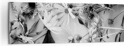 Produktbild von Bild auf Leinwand - Leinwandbild - Einteilig - Blumen Schwarzweiß Fotografie - 160x50cm - Wand Bild - Wanddeko - Wandbilder - Leinwanddruck - Bilder - Wanddekoration - Leinwand bilder - AB160x50-4740