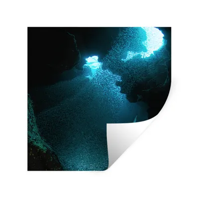 Produktbild von MuchoWow® Wandtattoo Wandsticker Wandaufkleber Fische schwimmen in einer Höhle mit stechendem Sonnenlicht auf Grand Cayman 100x100 cm Selbstklebend und Repositionierbar - Wierderverwendbar - Selbstklebend