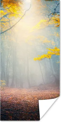 Produktbild von MuchoWow® Poster Wald - Nebel - Herbst 60x120 cm - Wandschmuck