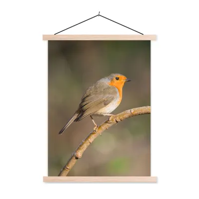 Produktbild von MuchoWow® Textilposter Rotkehlchen - Vogel - Natur 60x80 cm mit holzfarbenen Rahmen - Wandbild