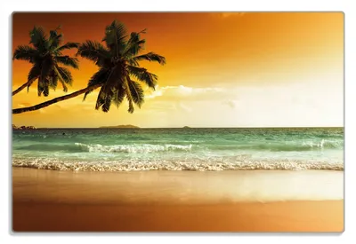 Produktbild von Wallario Frühstücksbrettchen aus Glas 20 x 30 cm mit rutschfesten Füßen, Motiv Palmen am Sandstrand bei untergehender Sonne