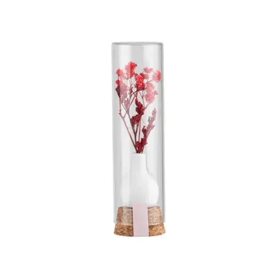 Produktbild von Geschenkblume im Glas rot