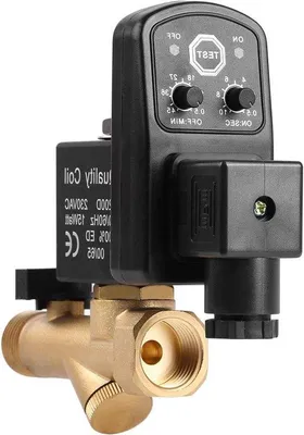 Image de Vanne de purge automatique DN15 G1/2 pour compresseur