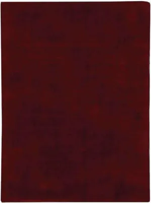 Zdjęcie produktu dla Tapis aspect velours burgundy 160x230