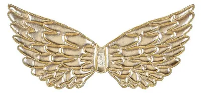 Imagen del producto de Souza Nyla, Alas, Artículo para niños, Niña, Dorado, 1 unidad