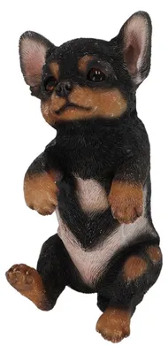 Image de Chien décoratif pour clôture en polyrésine - Chihuahua - H 20,8 cm