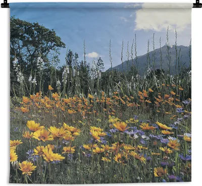 Produktbild von MuchoWow® Wandteppich Wandbehang Blumen - Natur - Farbe 120x120 cm Tapisserie Dekoration Wandtuch - Modern - Baumwollgewebe