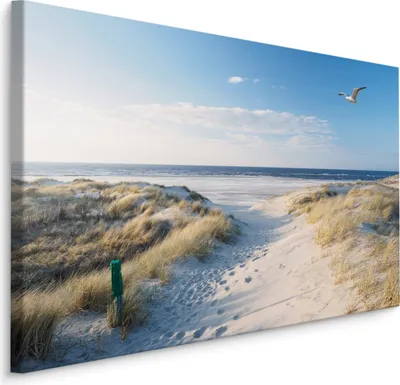 Produktbild von Fabelhafte Canvas LEINWAND BILDER 120x80 cm XXL Kunstdruck Meer Strand Dünen Möwe