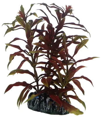 Produktbild von Hobby Nesaea, künstliche Pflanze 13 cm