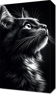 Image de Tableau 30 x 50 cm Portrait d'animaux pour le salon | Chat | Noir et blanc