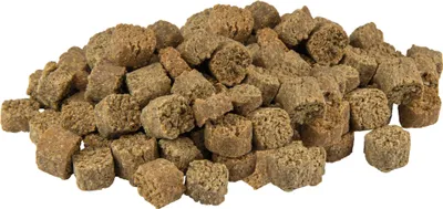 Produktbild von 1kg Schecker Hundeleckerli - Lamm Crockies - getreidefrei - vollwertig - nur Lamm (Single-Protein)