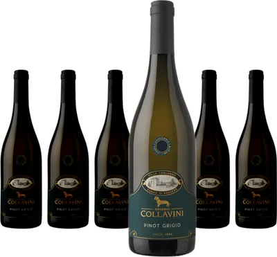 Produktbild von 6 x Collavini Villa Canlungo Pinot Grigio DOC Collio