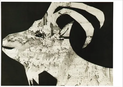 Produktbild von Kunstkarte Pablo Picasso "Ziege mit Gipsabfall"