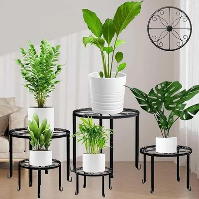 Produktbild von Pflanzenschrank und Blumenstander - Set von 5 - Schwarz - Metall