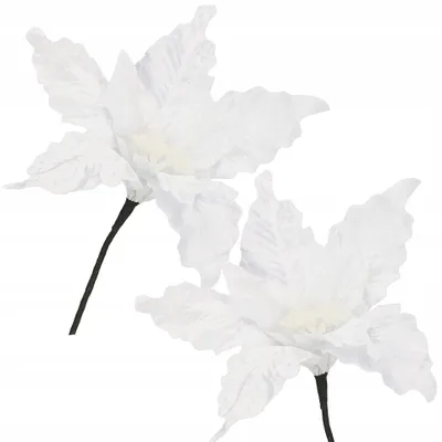Produktbild von Springos Künstliche Poinsettia Weiß 26cm Weihnachtsdeko