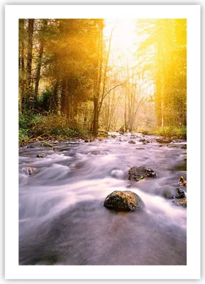Produktbild von Poster - Poster ohne Rahmen - Herbst Wald Berg Fluss - 50x70 cm - Wand Bild - Wanddeko - Wandbilder - Kunstposter - Wandposter - Bilder - Kunstdruck - Wanddekoration - Wandbild - P2XPA50x70-0504