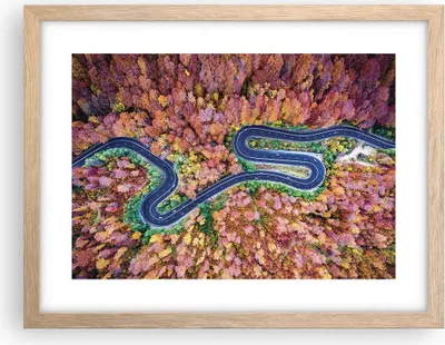 Produktbild von Gerahmtes Poster - Rahmen in heller Eiche - Kurvenreich Weg Wald - 40x30 cm - Wand Bild - Wanddeko - Wandbilder - Wandposter - Bilderrahmen - Bilder - Kunstdruck - Wandbild - P2NAA40x30-4291