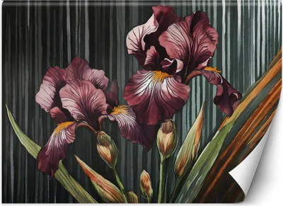 Produktbild von Vlies fototapete Blumen Abstraktion 250x175 cm Feeby Rot inkl. Kleber einfache Montage