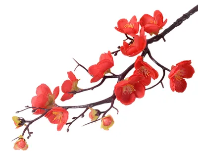 Produktbild von Künstliche Pflaumenblüten, künstliche Kirschblütenzweige mit langen Stielen, künstliche Blumen für Vasen, Blumenarrangements, Heimdekoration, Hochzeitstischdekoration