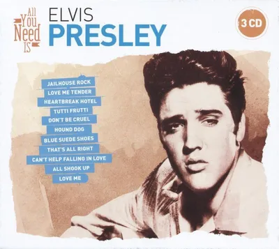 Produktbild von All You Need Is: Elvis Presley
