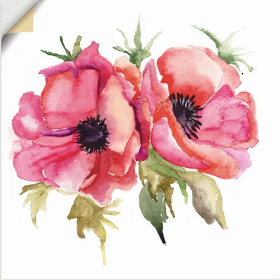 Produktbild von ARTland Wandbild, selbstklebend Mohnblumen Größe: 70x70 cm