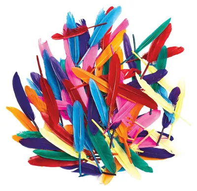 Produktbild von Colorations – Farbige Entenfedern, 28,5 Gramm