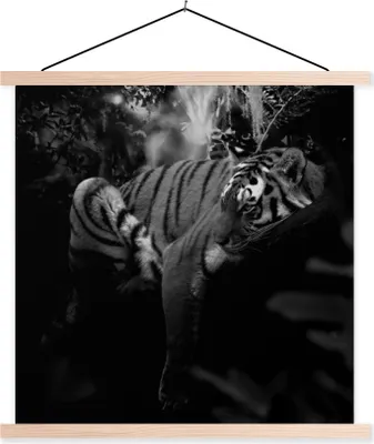 Produktbild von MuchoWow® Textilposter Tiere - Tiger - Dschungel - Schwarz - Weiß 120x120 cm mit holzfarbenen Rahmen - Textil-Poster