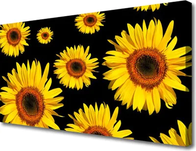 Produktbild von Tulup Leinwand-Bilder 100x50 Wandbild Canvas Kunstdruck Sonnenblumen Pflanzen