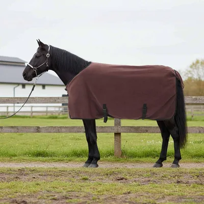 Imagen del producto de Manta cálida para caballos con funda exterior desmontable