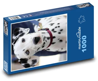 Obrázek produktu pro martinpuzzle - Puzzle 1000 - Dalmatin - pes