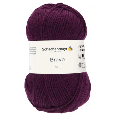 Image de Schachenmayr Bravo, 50 g de fil à tricoter à la main couleur sureau