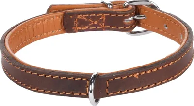 Produktbild von Flamingo Memphis gepolstertes Halsband braun, Maße: 26-32 cm / 14 mm